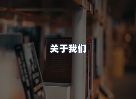 专业团队